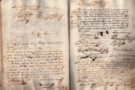 [Admissão de Diogo Cardoso, António Gomes Torres, Manuel Fernandes da Praça e João Correia, cirur...