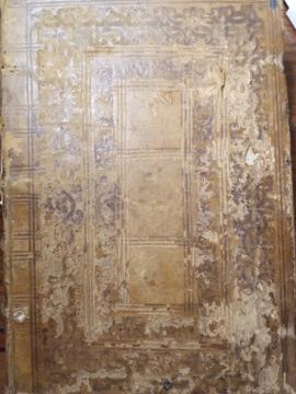 [Livro de registo da Genealogia de Inácio da Silva Medela]
